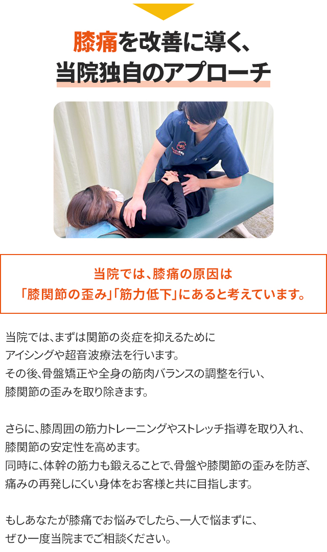 独自のアプローチ