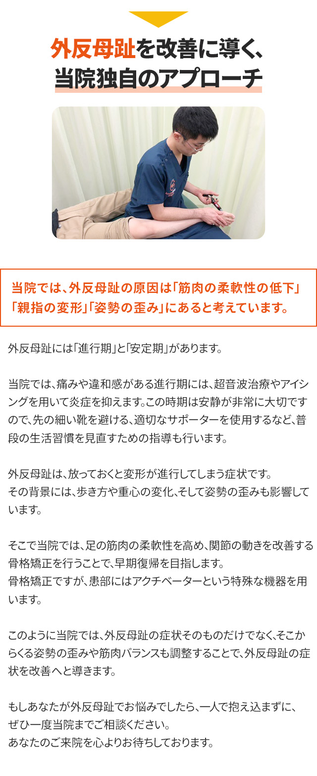 独自のアプローチ
